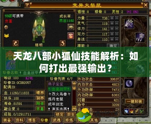 天龍八部小狐仙技能解析：如何打出最強(qiáng)輸出？
