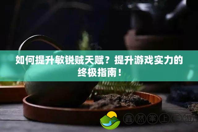 如何提升敏銳賊天賦？提升游戲?qū)嵙Φ慕K極指南！