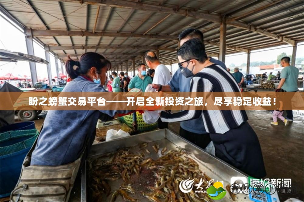 盼之螃蟹交易平臺——開啟全新投資之旅，盡享穩(wěn)定收益！