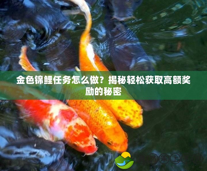 金色錦鯉任務(wù)怎么做？揭秘輕松獲取高額獎(jiǎng)勵(lì)的秘密