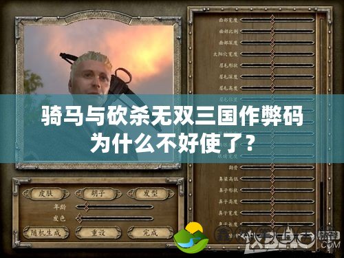 騎馬與砍殺無雙三國作弊碼為什么不好使了？