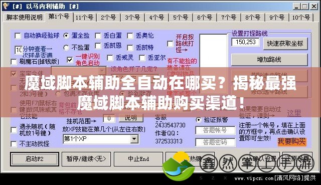 魔域腳本輔助全自動在哪買？揭秘最強(qiáng)魔域腳本輔助購買渠道！
