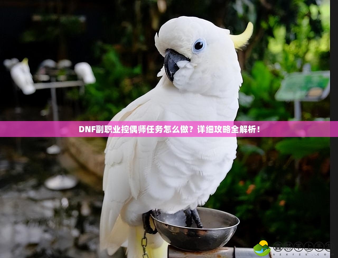 DNF副職業(yè)控偶師任務(wù)怎么做？詳細攻略全解析！