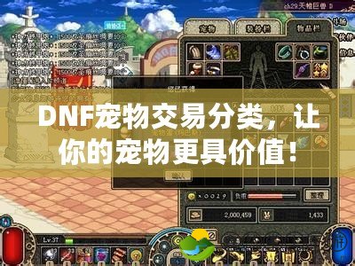 DNF寵物交易分類，讓你的寵物更具價(jià)值！