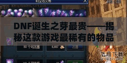 DNF誕生之芽最貴——揭秘這款游戲最稀有的物品背后的價值與魅力