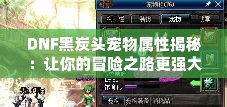 DNF黑炭頭寵物屬性揭秘：讓你的冒險(xiǎn)之路更強(qiáng)大！