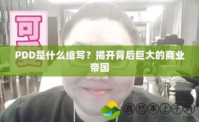 PDD是什么縮寫？揭開背后巨大的商業(yè)帝國
