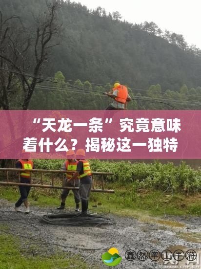 “天龍一條”究竟意味著什么？揭秘這一獨(dú)特的網(wǎng)絡(luò)文化現(xiàn)象