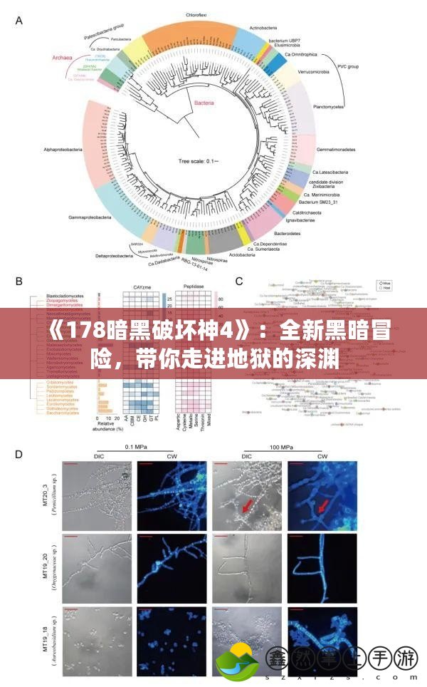 《178暗黑破壞神4》：全新黑暗冒險(xiǎn)，帶你走進(jìn)地獄的深淵