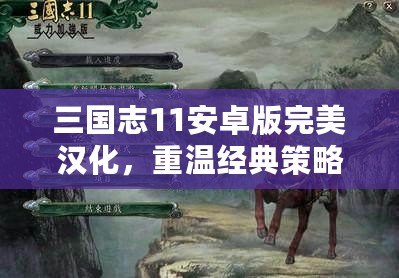 三國(guó)志11安卓版完美漢化，重溫經(jīng)典策略之戰(zhàn)
