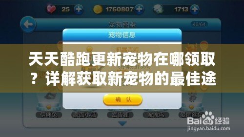 天天酷跑更新寵物在哪領(lǐng)?。吭斀猥@取新寵物的最佳途徑！