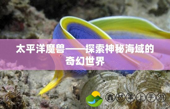 太平洋魔獸——探索神秘海域的奇幻世界