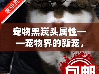 寵物黑炭頭屬性——寵物界的新寵，讓你的寵物更健康、更活躍！