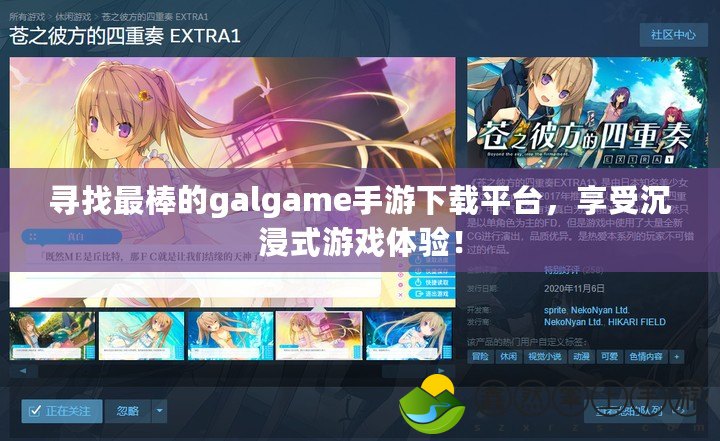 尋找最棒的galgame手游下載平臺，享受沉浸式游戲體驗(yàn)！