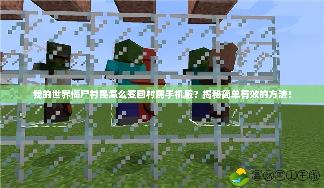 我的世界僵尸村民怎么變回村民手機版？揭秘簡單有效的方法！