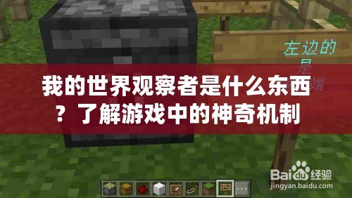 我的世界觀察者是什么東西？了解游戲中的神奇機(jī)制