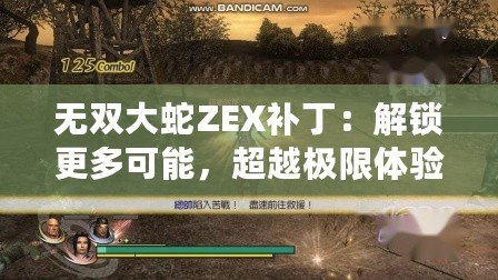 無(wú)雙大蛇ZEX補(bǔ)?。航怄i更多可能，超越極限體驗(yàn)