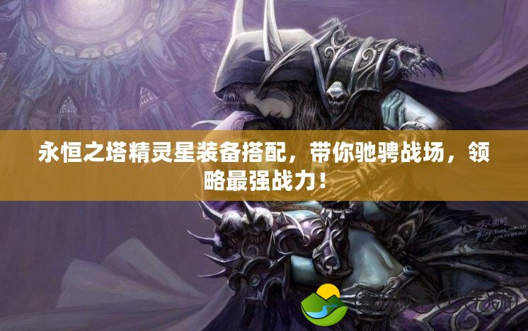 永恒之塔精靈星裝備搭配，帶你馳騁戰(zhàn)場(chǎng)，領(lǐng)略最強(qiáng)戰(zhàn)力！