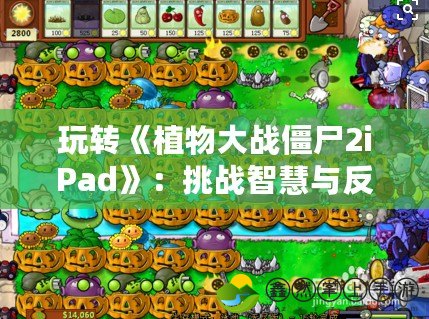 玩轉(zhuǎn)《植物大戰(zhàn)僵尸2iPad》：挑戰(zhàn)智慧與反應(yīng)的極限，收獲無限樂趣！