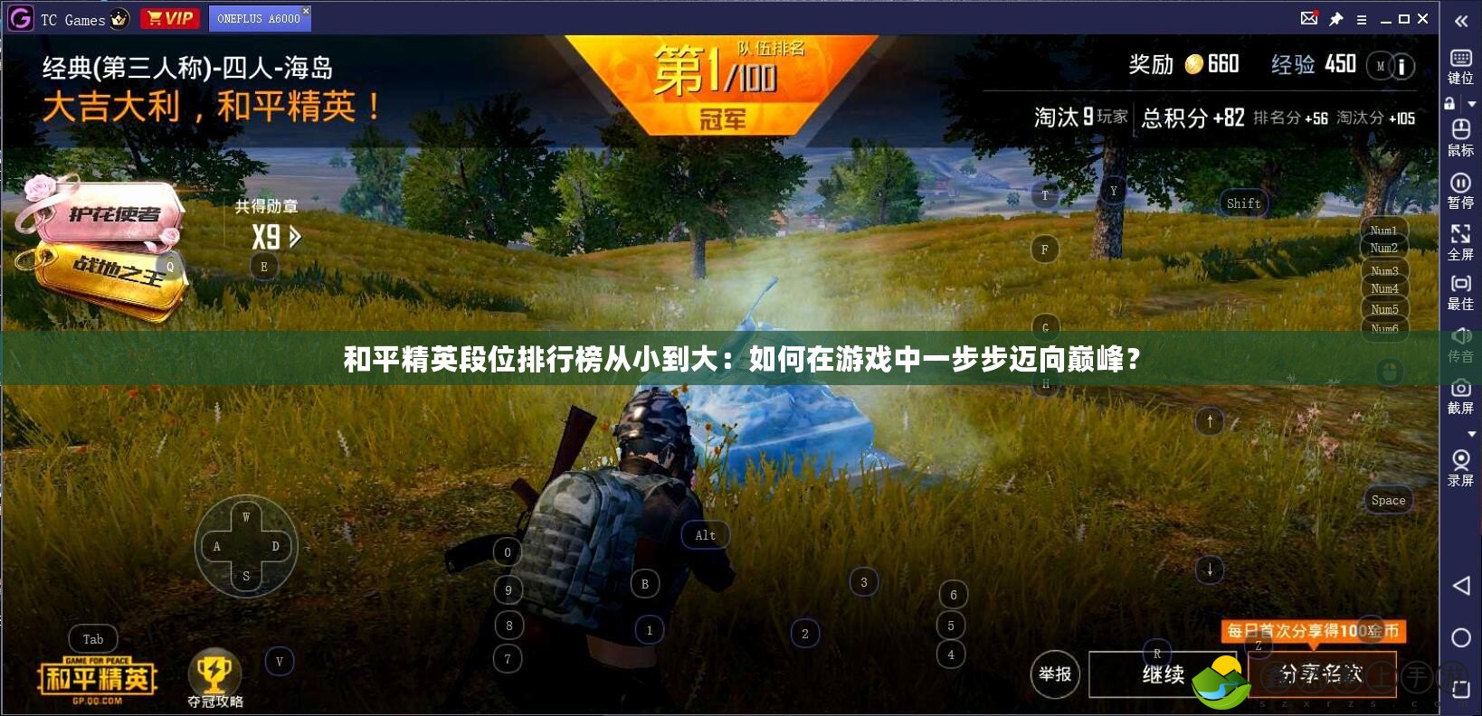 和平精英段位排行榜從小到大：如何在游戲中一步步邁向巔峰？