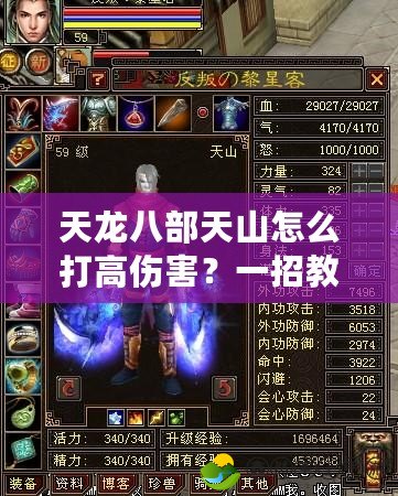 天龍八部天山怎么打高傷害？一招教你秒殺敵人！