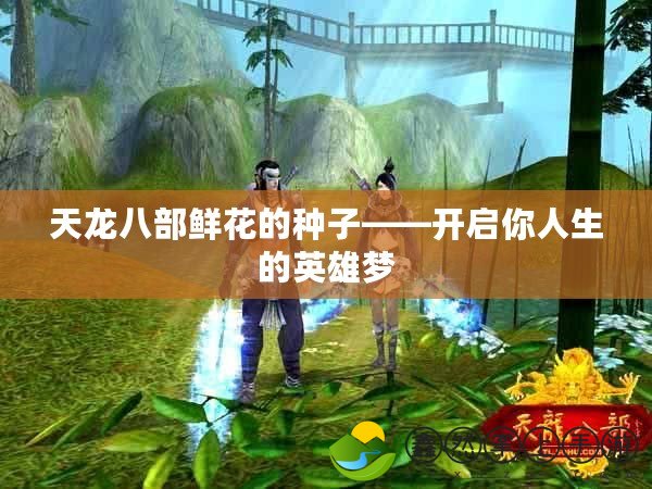 天龍八部鮮花的種子——開啟你人生的英雄夢