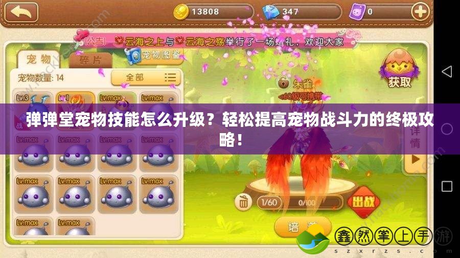 彈彈堂寵物技能怎么升級？輕松提高寵物戰(zhàn)斗力的終極攻略！