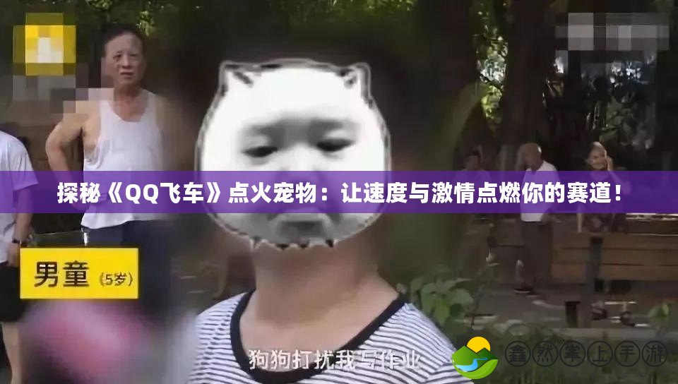 探秘《QQ飛車》點(diǎn)火寵物：讓速度與激情點(diǎn)燃你的賽道！