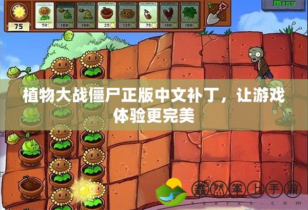 植物大戰(zhàn)僵尸正版中文補丁，讓游戲體驗更完美