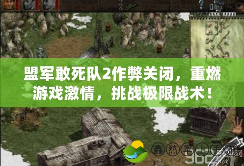 盟軍敢死隊2作弊關(guān)閉，重燃游戲激情，挑戰(zhàn)極限戰(zhàn)術(shù)！