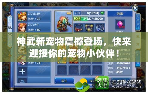 神武新寵物震撼登場，快來迎接你的寵物小伙伴！