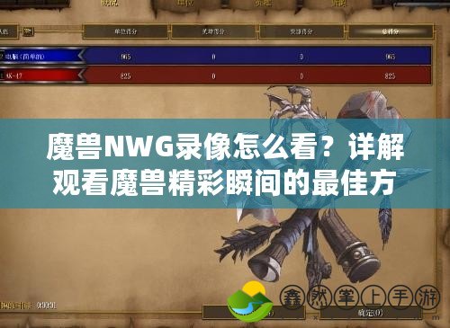 魔獸NWG錄像怎么看？詳解觀看魔獸精彩瞬間的最佳方式