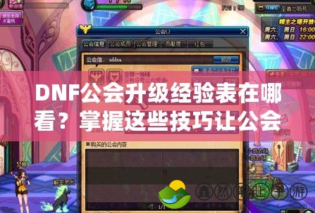 DNF公會(huì)升級(jí)經(jīng)驗(yàn)表在哪看？掌握這些技巧讓公會(huì)升級(jí)更輕松！