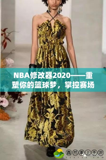 NBA修改器2020——重塑你的籃球夢(mèng)，掌控賽場(chǎng)的勝利法寶