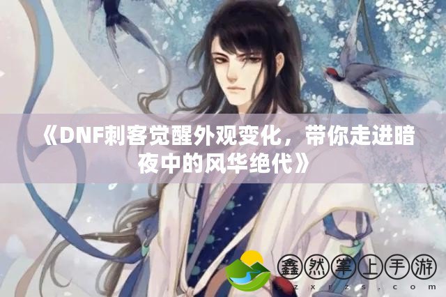 《DNF刺客覺醒外觀變化，帶你走進暗夜中的風華絕代》