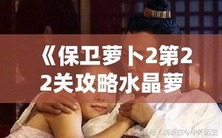《保衛(wèi)蘿卜2第22關攻略水晶蘿卜攻略視頻教程》