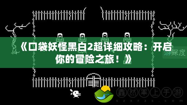 《口袋妖怪黑白2超詳細(xì)攻略：開啟你的冒險(xiǎn)之旅！》