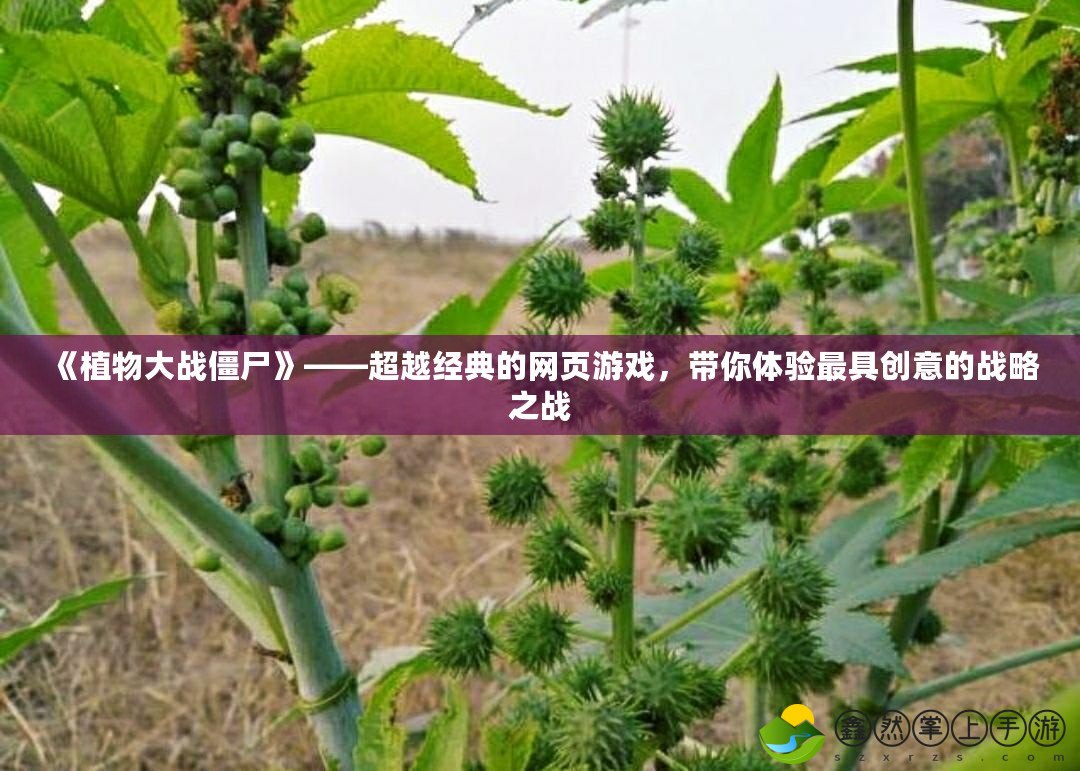 《植物大戰(zhàn)僵尸》——超越經(jīng)典的網(wǎng)頁游戲，帶你體驗(yàn)最具創(chuàng)意的戰(zhàn)略之戰(zhàn)
