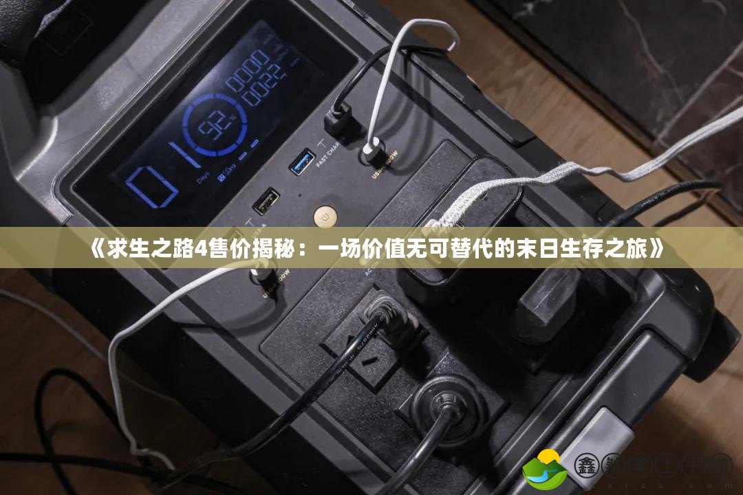 《求生之路4售價(jià)揭秘：一場(chǎng)價(jià)值無(wú)可替代的末日生存之旅》