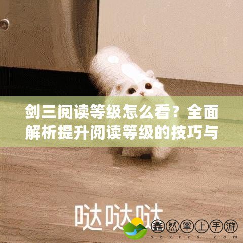 劍三閱讀等級怎么看？全面解析提升閱讀等級的技巧與方法