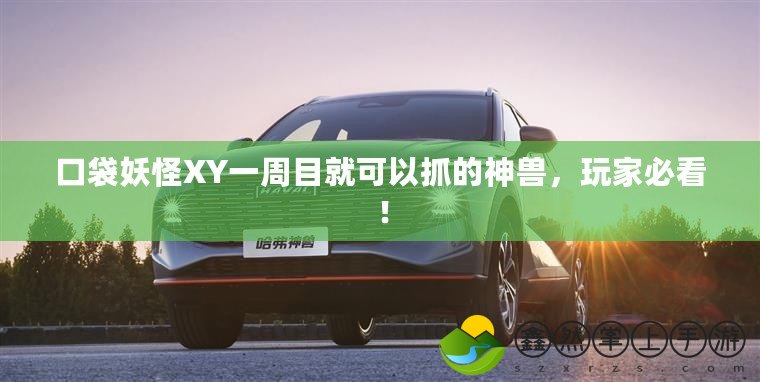 口袋妖怪XY一周目就可以抓的神獸，玩家必看！