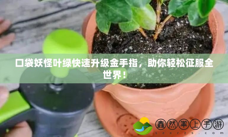 口袋妖怪葉綠快速升級金手指，助你輕松征服全世界！
