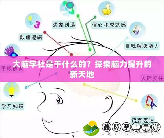 大腦學(xué)社是干什么的？探索腦力提升的新天地
