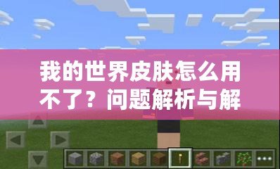 我的世界皮膚怎么用不了？問題解析與解決方法