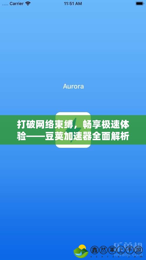 打破網(wǎng)絡(luò)束縛，暢享極速體驗——豆莢加速器全面解析