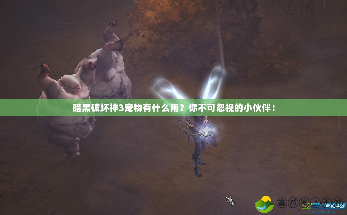 暗黑破壞神3寵物有什么用？你不可忽視的小伙伴！
