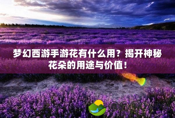 夢幻西游手游花有什么用？揭開神秘花朵的用途與價(jià)值！