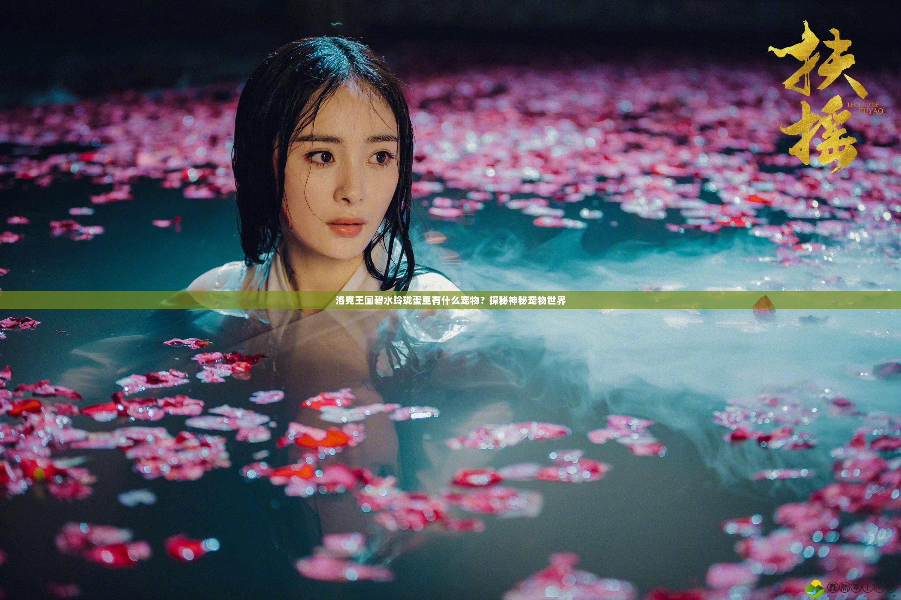 洛克王國碧水玲瓏蛋里有什么寵物？探秘神秘寵物世界