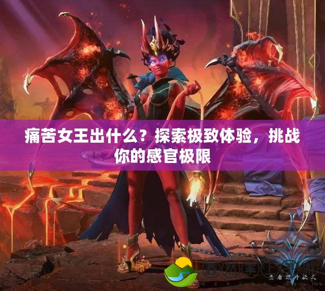痛苦女王出什么？探索極致體驗，挑戰(zhàn)你的感官極限