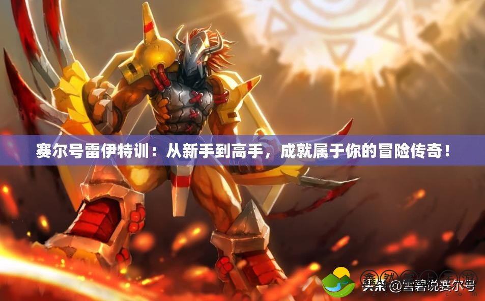 賽爾號雷伊特訓(xùn)：從新手到高手，成就屬于你的冒險傳奇！